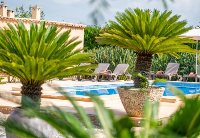 Casa vacacional con piscina privada en Pollensa, Mallorca