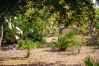 Ferienhaus mit privatem Pool in Pollensa, Mallorca