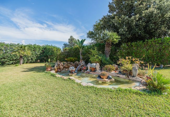 Villa in Pollensa - Villa Ca Na Francisca